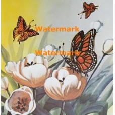 Butterflies  - #XD7166  -  PRINT